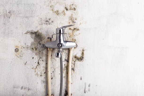Water Damage Restoration in Streator, IL
