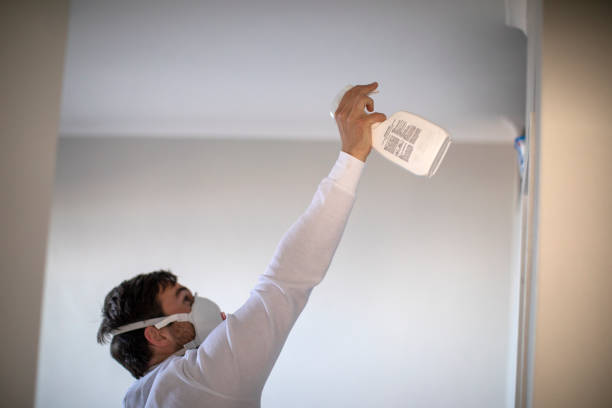 Best Toxic Mold Removal  in Streator, IL